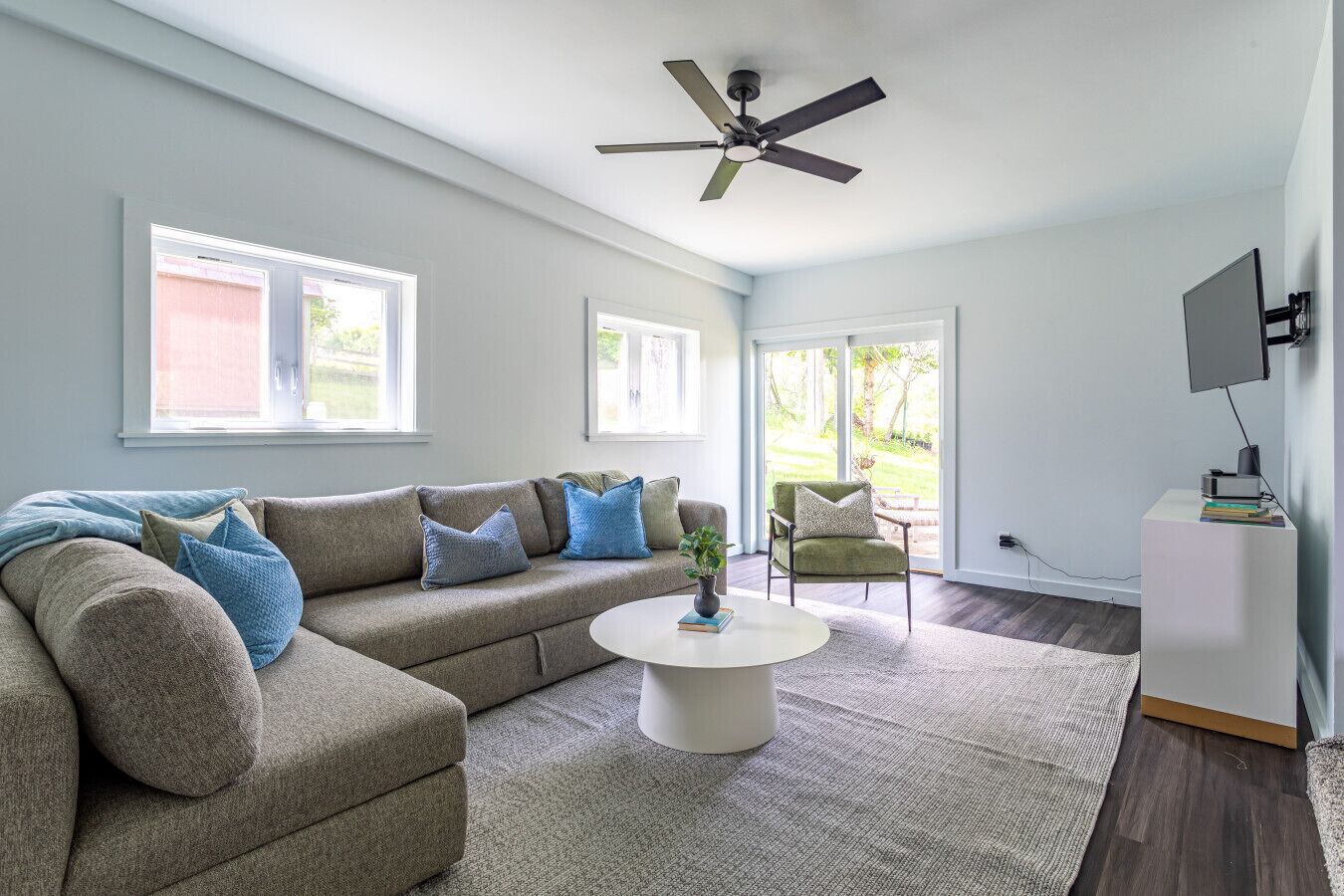 TV, fireplace, books