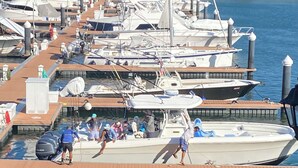 Un port de plaisance où sont amarrés de nombreux bateaux, avec des passerelles en bois et une vue dégagée sur l’eau.