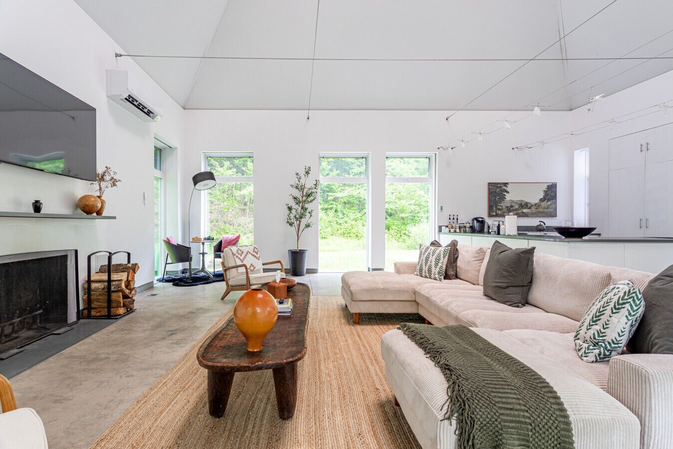 Smart TV, fireplace, books