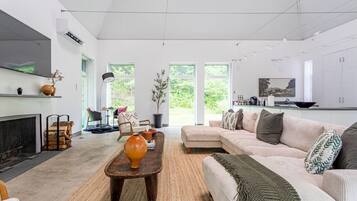 Smart TV, fireplace, books