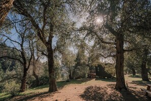 Parco della struttura