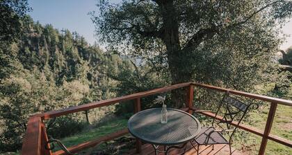 Tiny Home Above the Clouds: Pacific Views