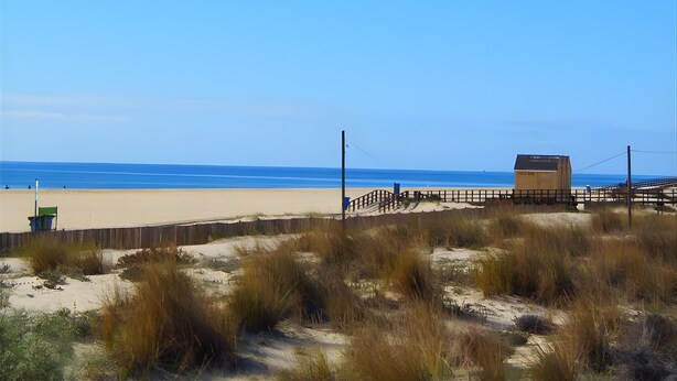 Une plage avec une clôture en bois, un poste de surveillance pour les sauveteurs et un ciel bleu dégagé.