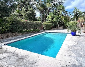 Une piscine rectangulaire dont le bord est recouvert de carreaux, entourée d’une terrasse en pierre et d’une végétation luxuriante.