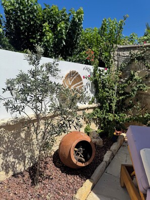 Property grounds - Fig & Olive Villa (lemesos)