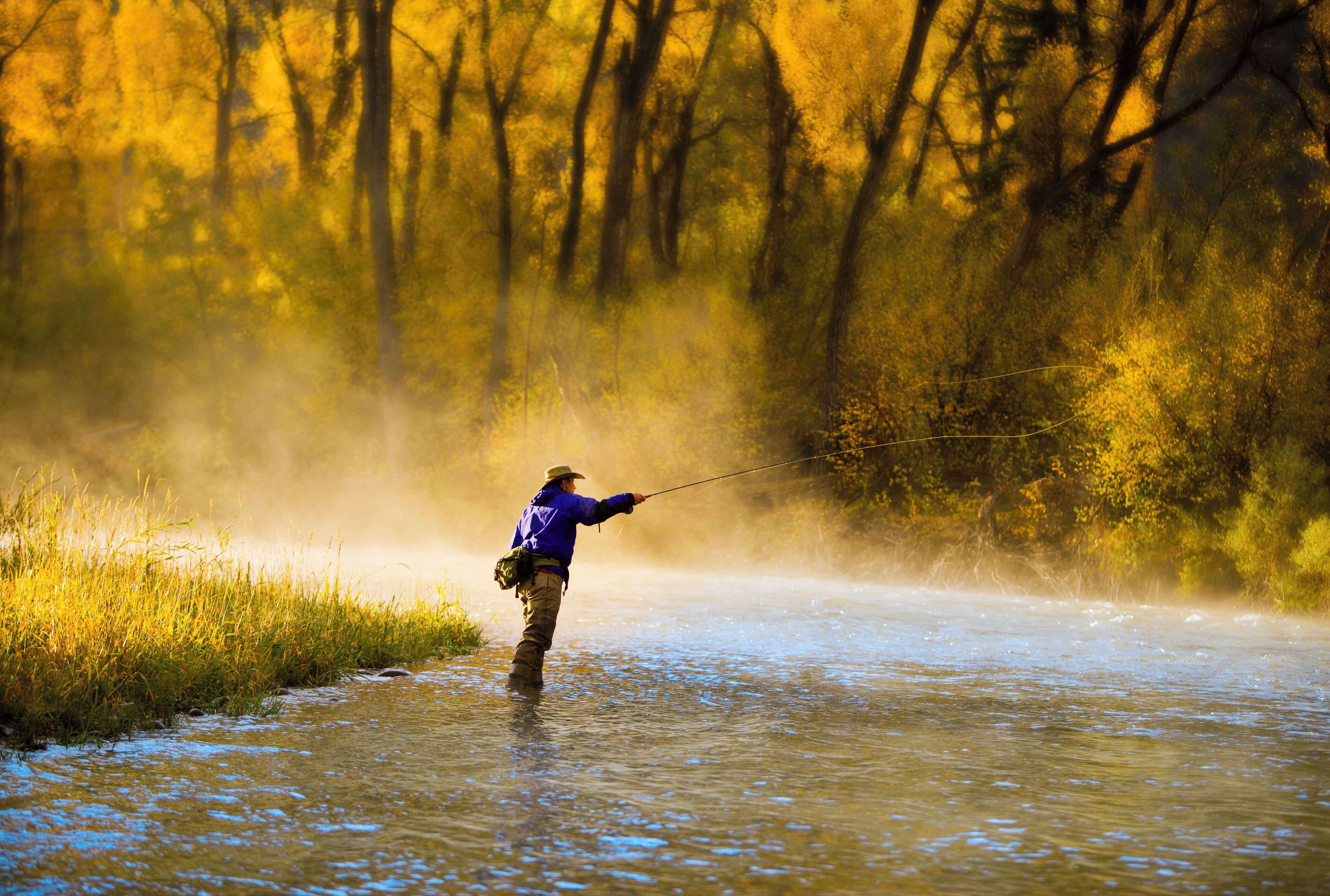 A person standing in a river with trees in the background.