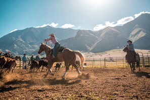En cowboy rider hest i en indhegnet arena med et bjergrigt landskab i baggrunden.