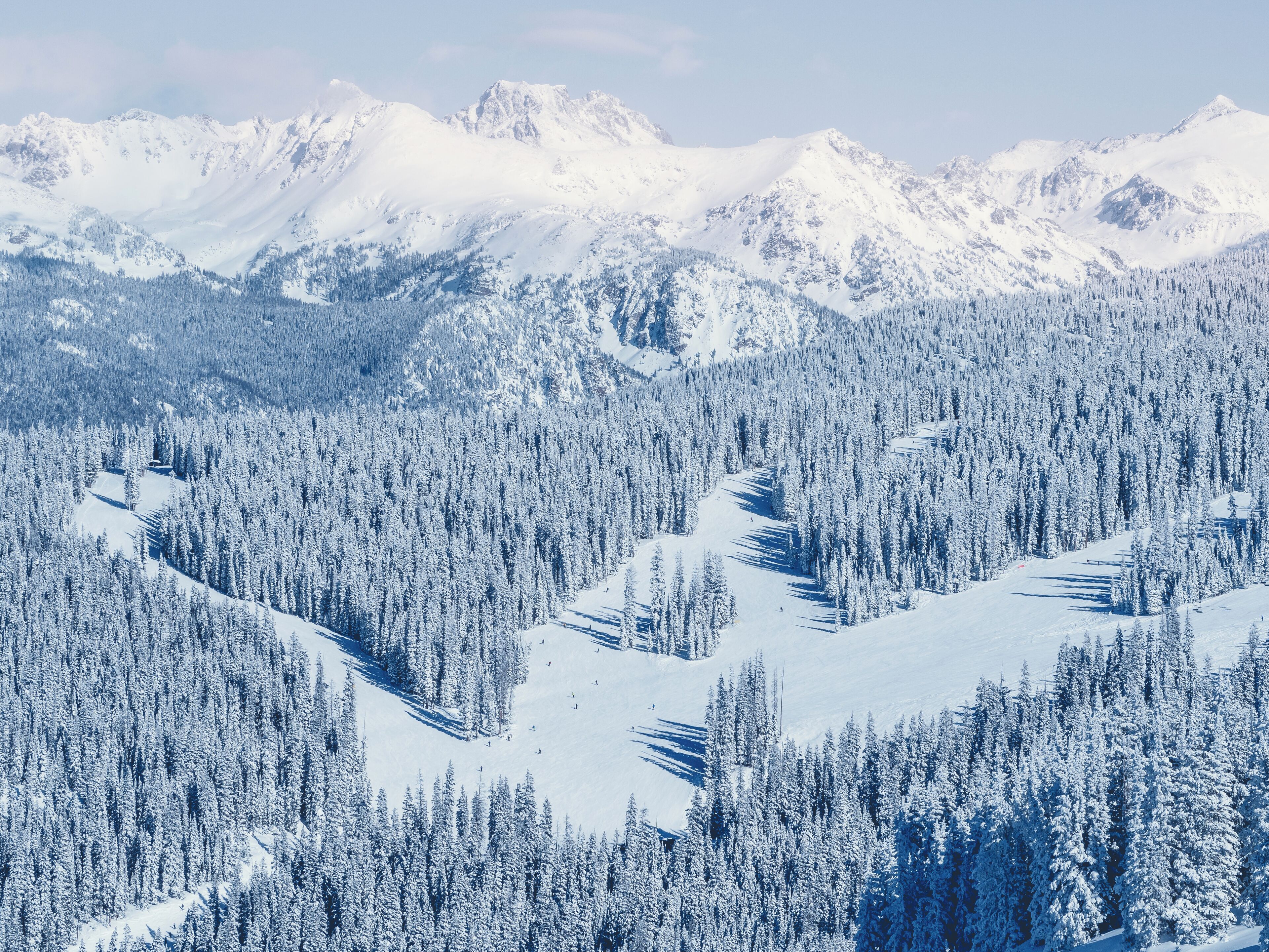 A snow-covered mountain landscape with dense forests and a ski slope.
