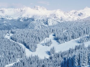 A snow-covered mountain landscape with dense forests and a ski slope. - Springhill Suites By Marriott Steamboat Springs (Steamboat Springs)