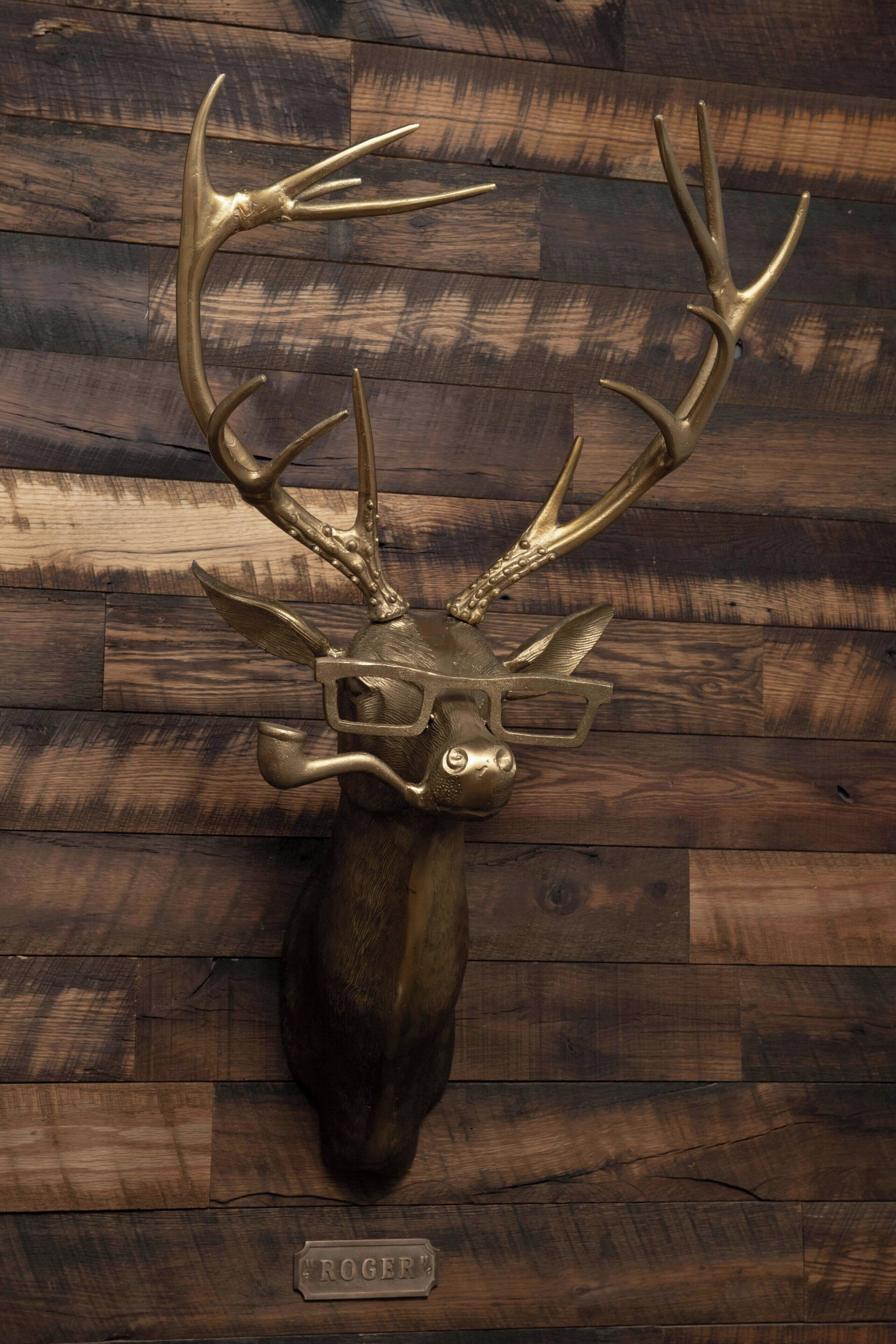 A mounted deer head with antlers on a wooden wall.