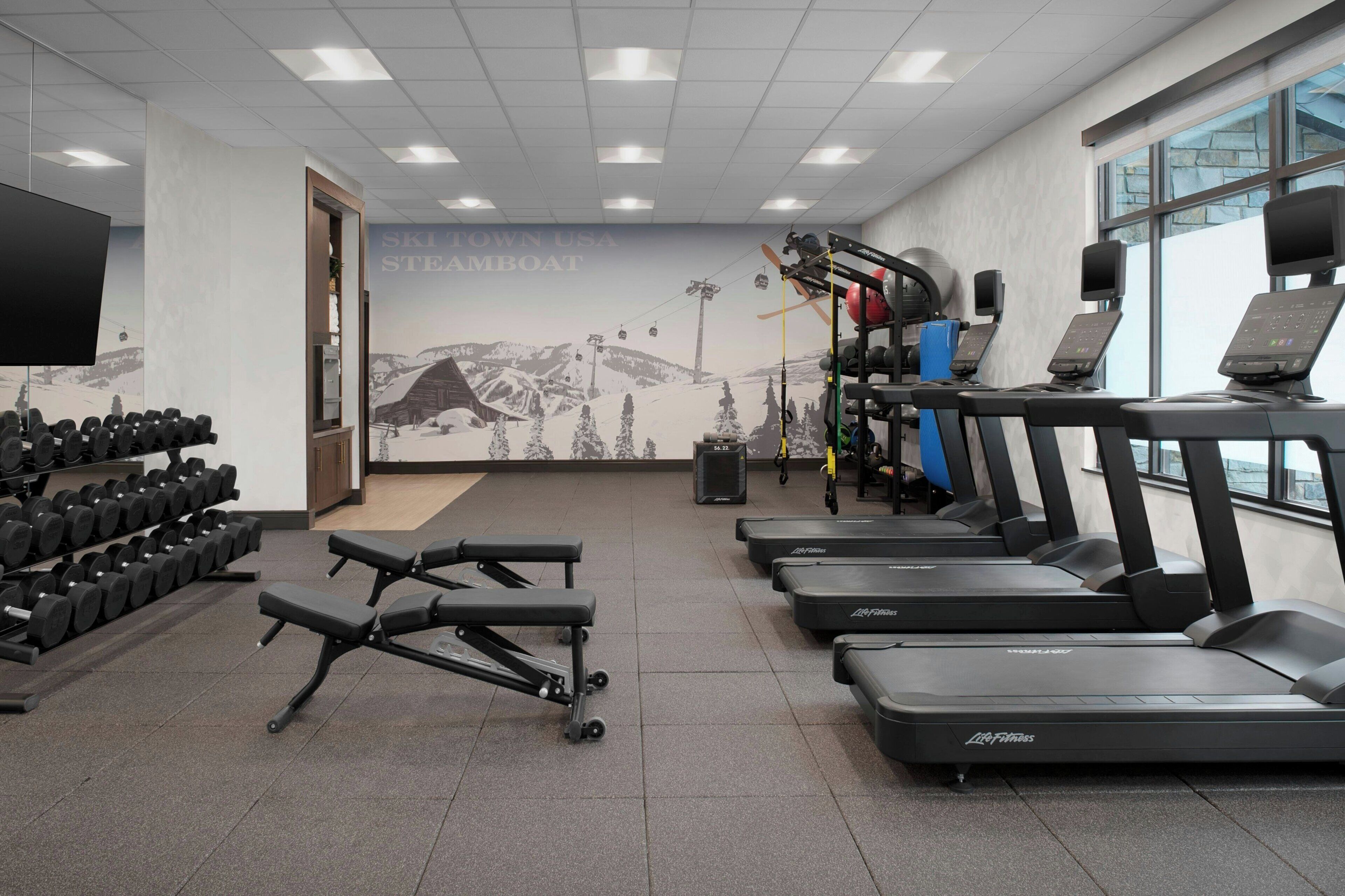 A gym with treadmills, dumbbells, and weight machines.
