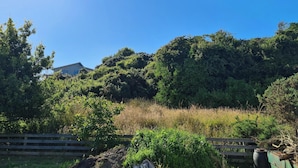 Un paisaje natural con abundante vegetación, una valla de madera y un edificio al fondo.