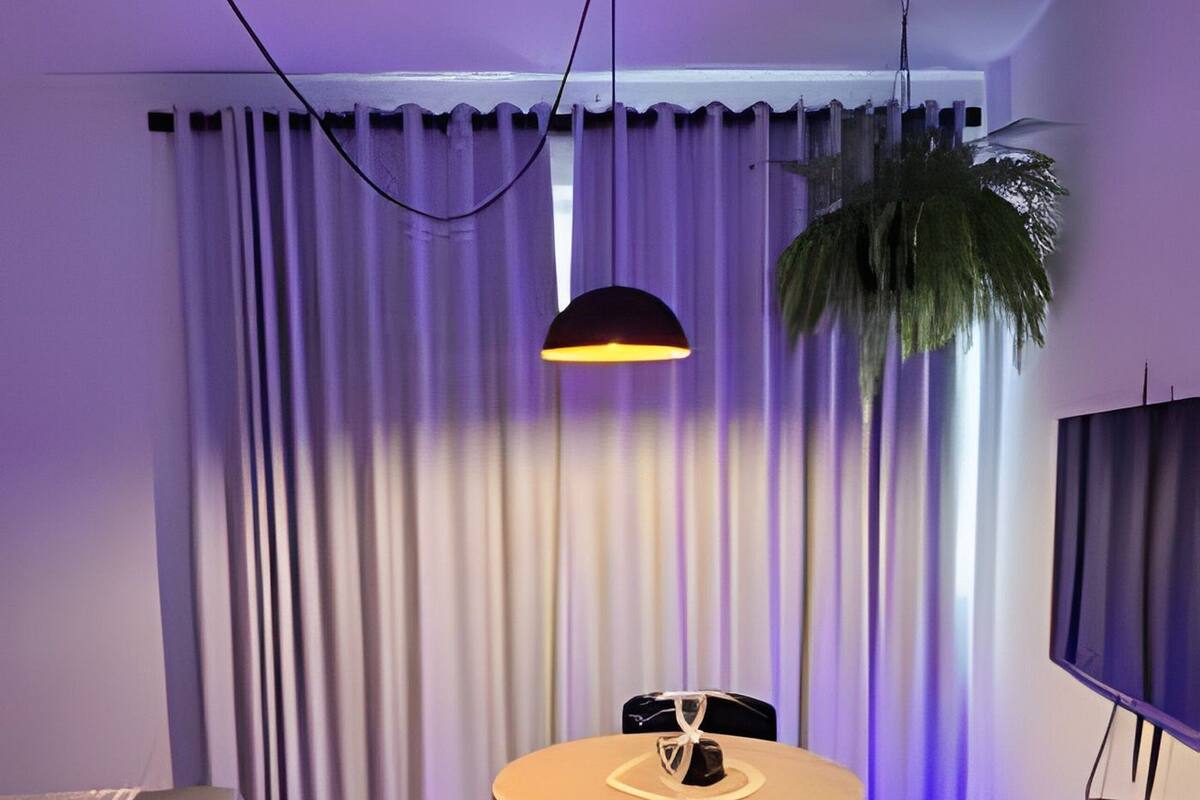 Een hotelkamer met een ronde tafel, een stoel, een potplant, een televisie en gordijnen.