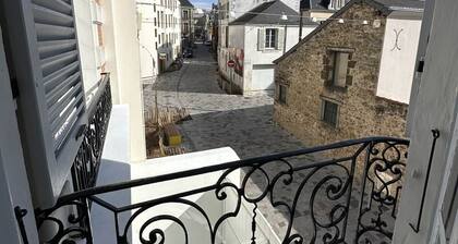 Villa Barillerie 1870 - Centre - 24 personnes