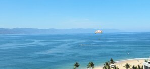 Beach -  The spectacular 180° ocean view from the 14th floor takes your breath away! (Puerto Vallarta)