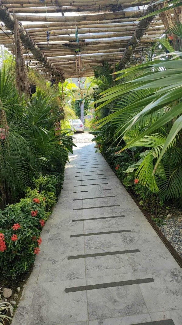 A pathway with a wooden pergola overhead, surrounded by lush tropical plants and a clear view of a car in the distance.