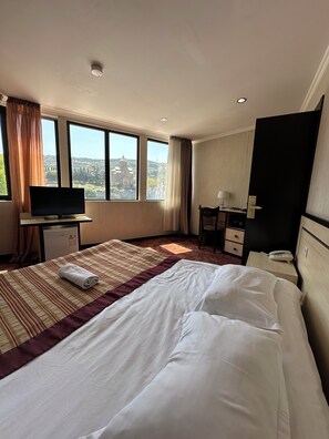 Desk, free WiFi - hotel europe meidan (Tbilisi)