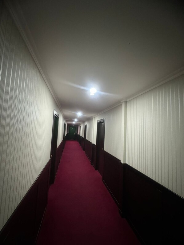 A long, narrow hallway with a red carpet, white walls, and dark trim. - hotel europe meidan (Tbilisi)