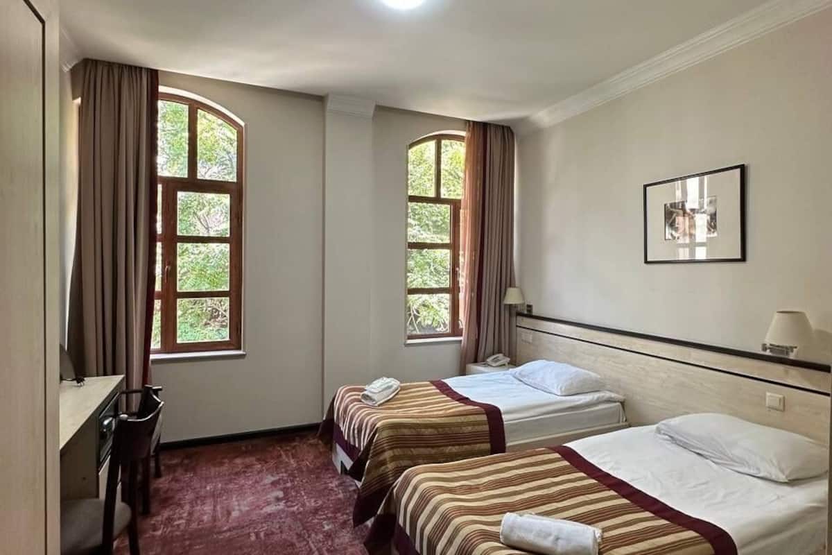 Deluxe Twin Room | Desk, free WiFi