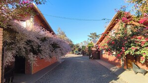 Une rue étroite bordée de bâtiments en briques, dont les façades sont recouvertes de plantes grimpantes en fleurs.