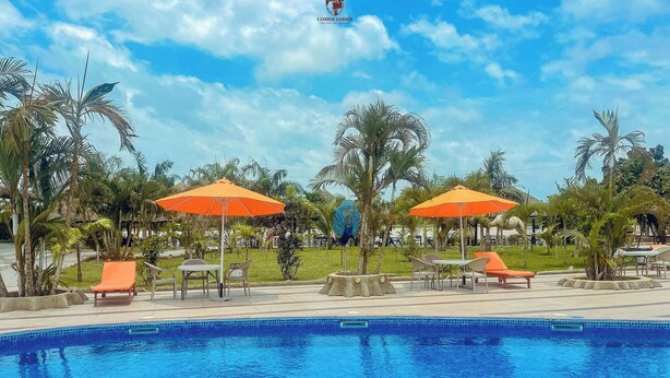 A pool area with orange umbrellas, lounge chairs, and palm trees. - Comoé Lodge Hôtel Resort & Spa (Ekressinville)