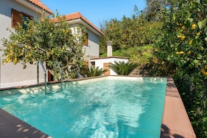 Ein Pool mit Holzterrasse, umgeben von Grünpflanzen und einem Haus mit Ziegeldach.