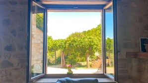 A stone-walled room with a large window overlooking a vineyard. - IL VECCHIO BRACIERE (San Venanzo)