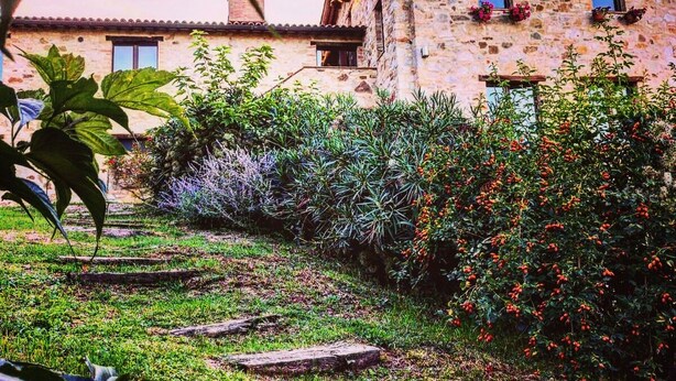A stone building with a garden in front, featuring a stone pathway and various plants. - IL VECCHIO BRACIERE (San Venanzo)