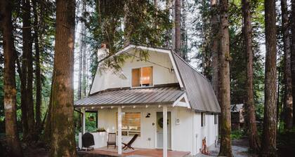 Mt. Rainier Getaway