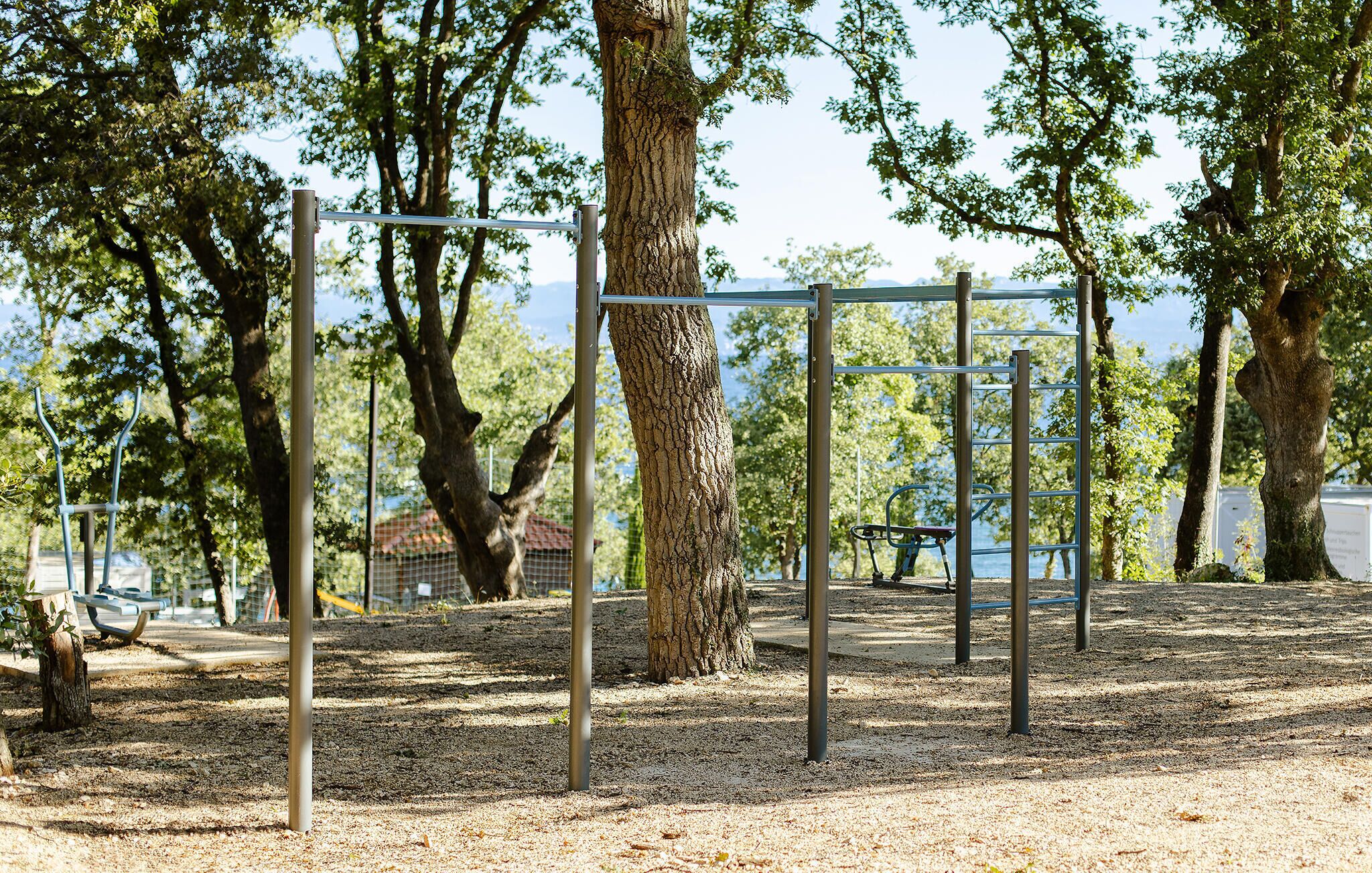 A park with exercise equipment, trees, and a bench.
