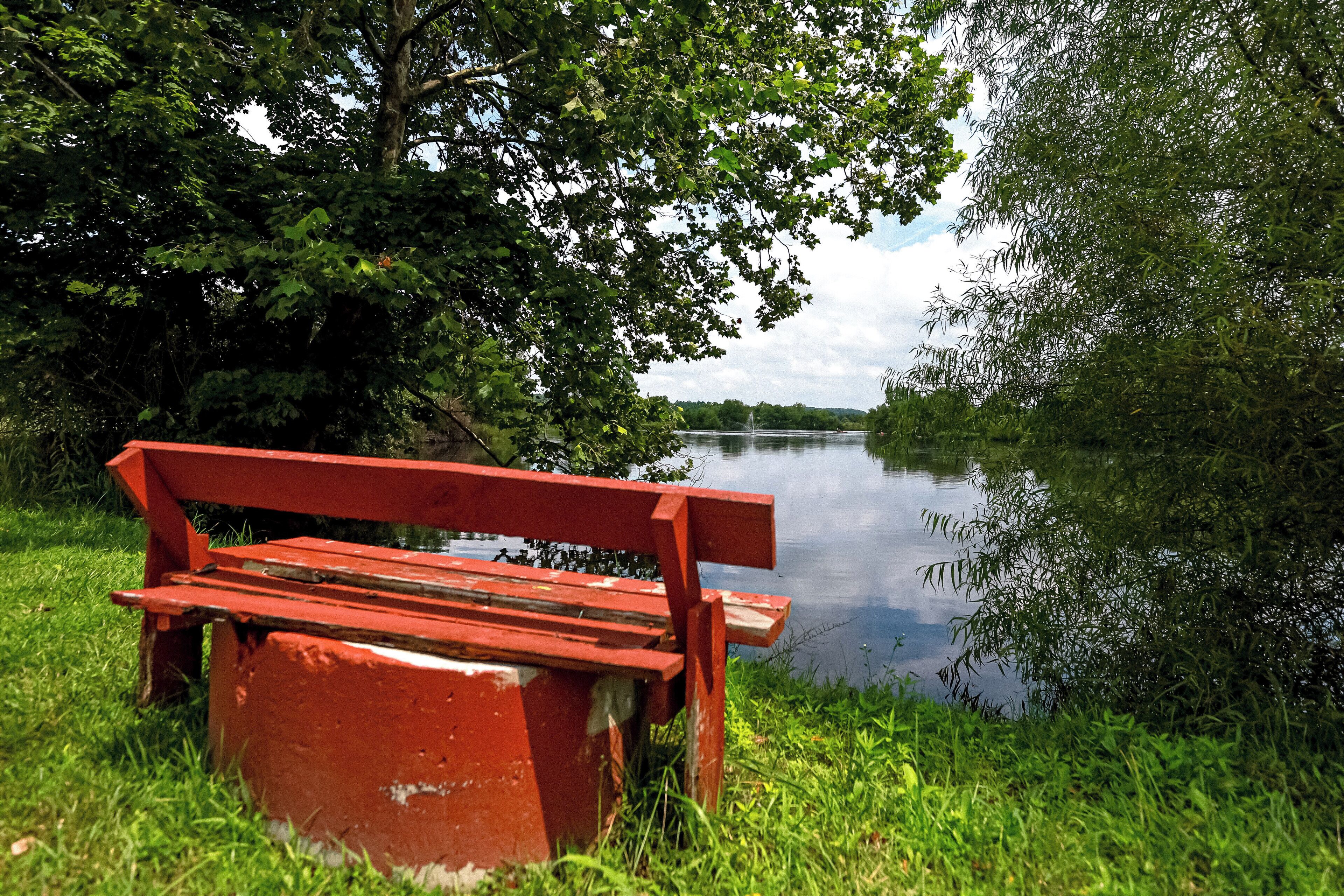 A red bench by a calm river with lush greenery and trees in the background.