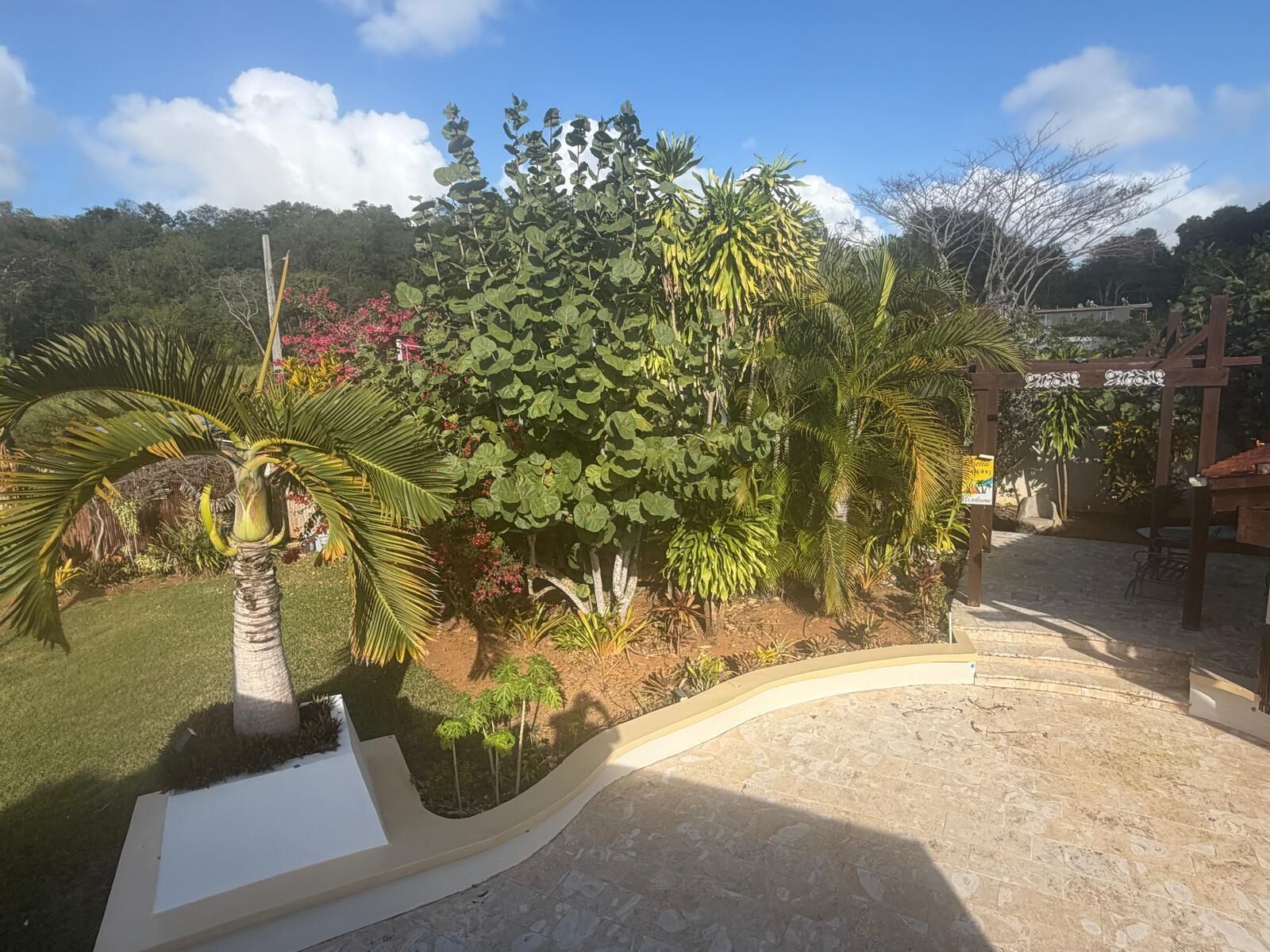 A garden with palm trees, a stone pathway, and a wooden pergola.