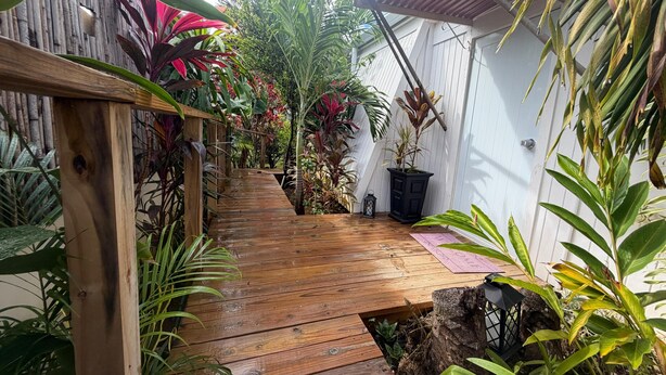 Un sendero de madera que atraviesa un jardín frondoso, con diversas plantas y un pequeño farol negro.
