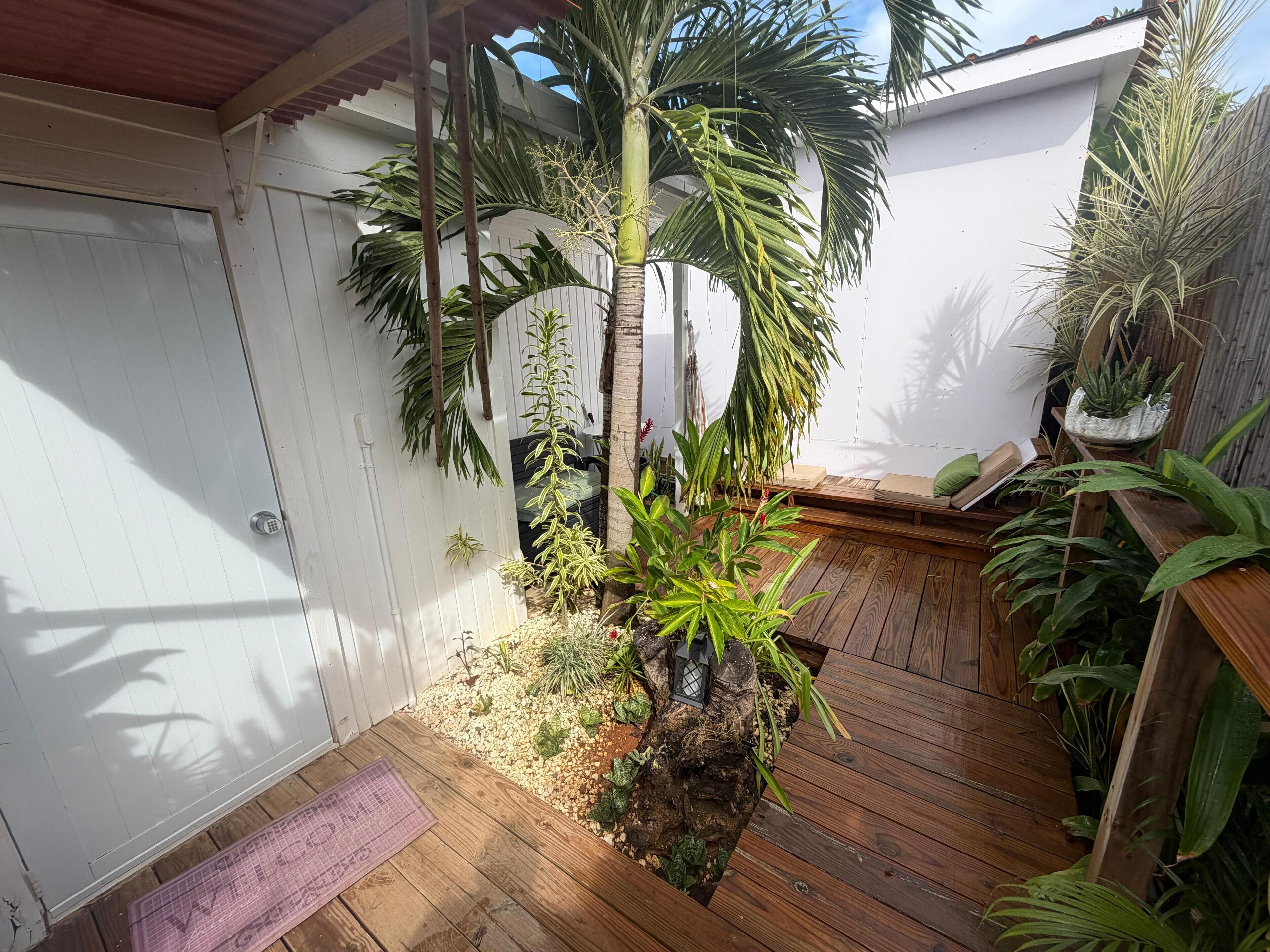Una terraza de madera con un pequeño jardín, que incluye una palmera y diversas plantas en macetas.