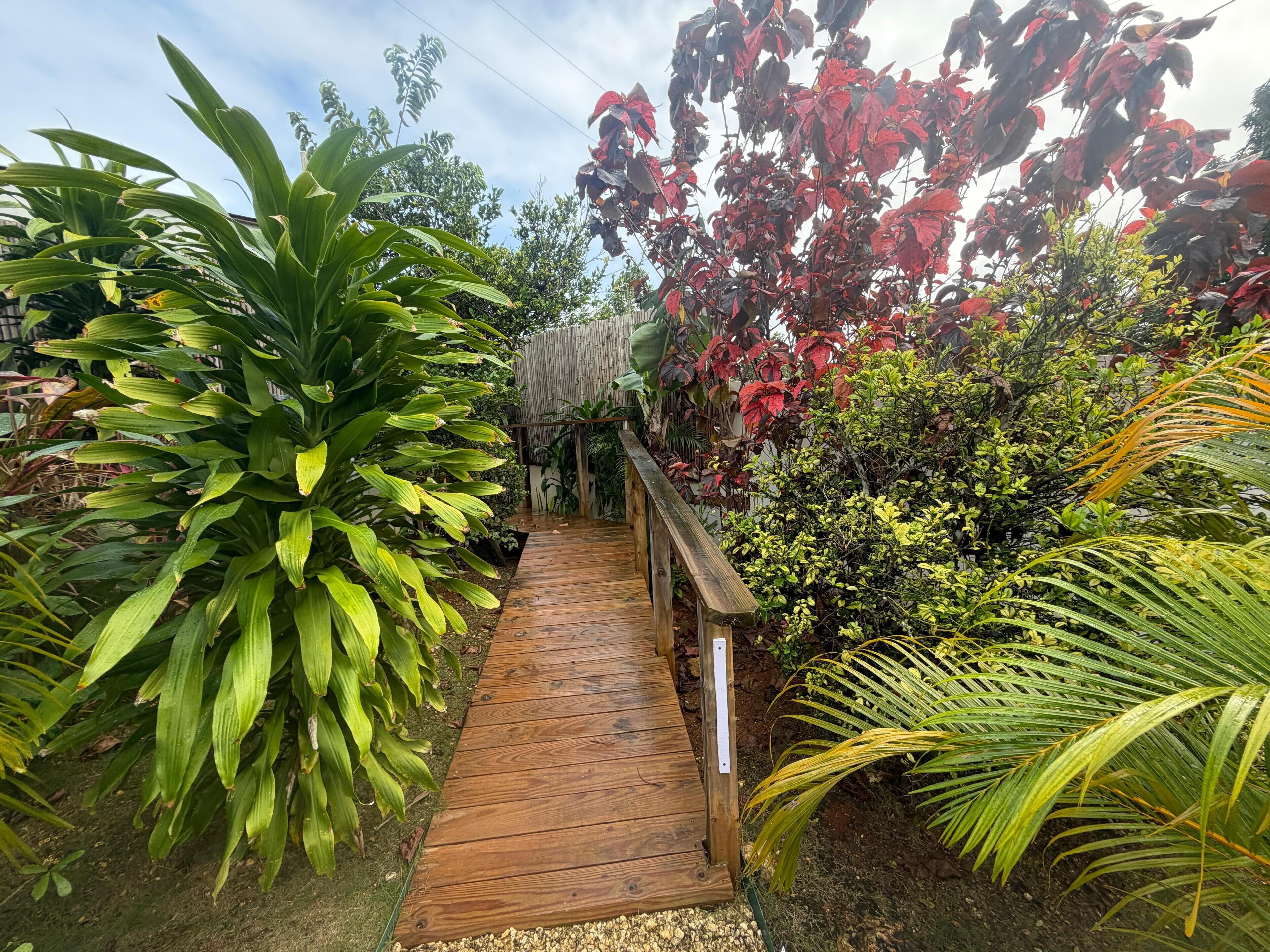 Un sendero de madera que atraviesa un jardín con diversas plantas y una cerca de bambú al fondo.