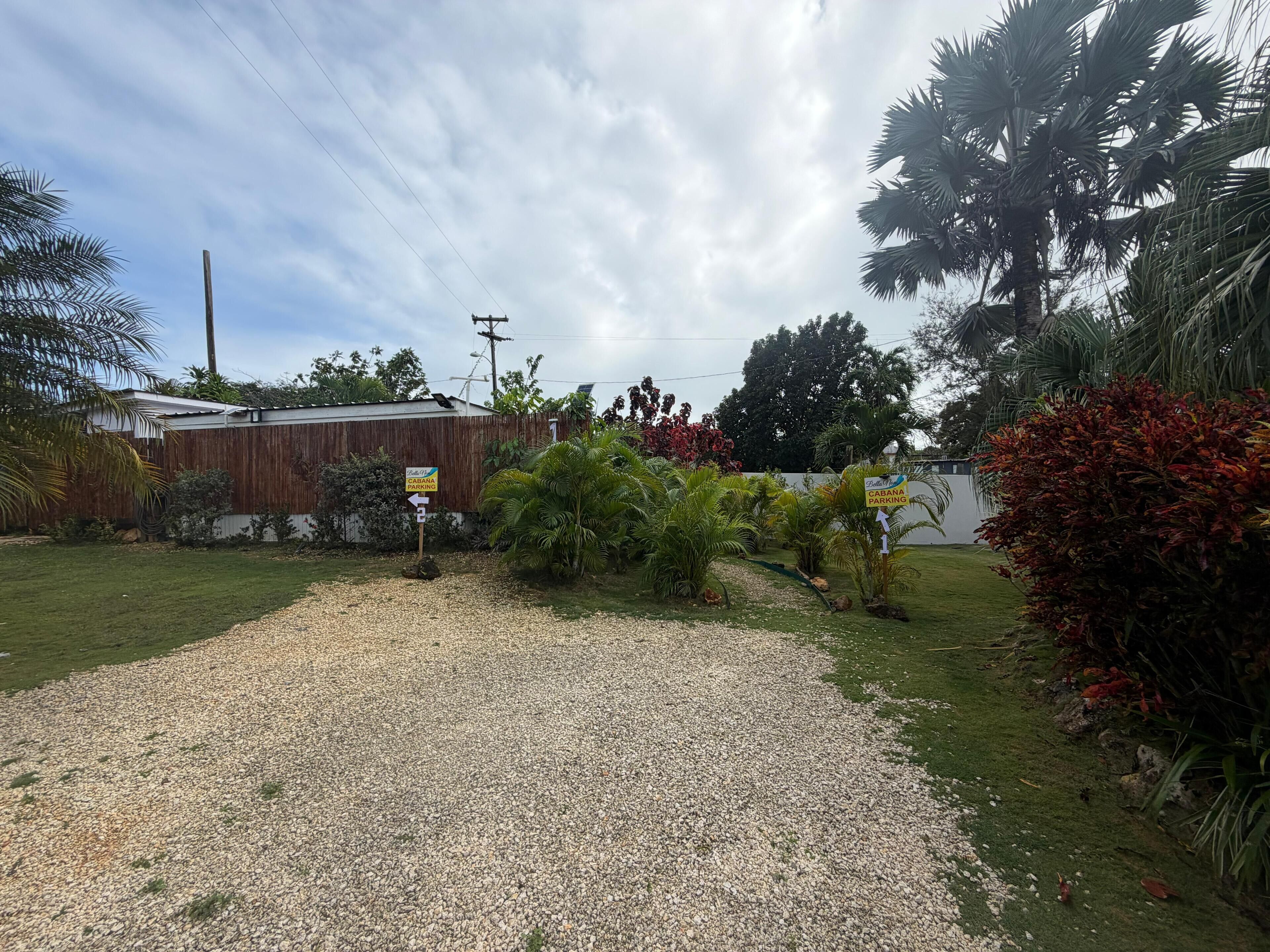 A gravel driveway leading to a building with a wooden fence and tropical plants.