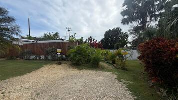 A gravel driveway leading to a building with a wooden fence and tropical plants.