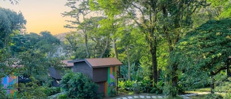 Áreas de la propiedad