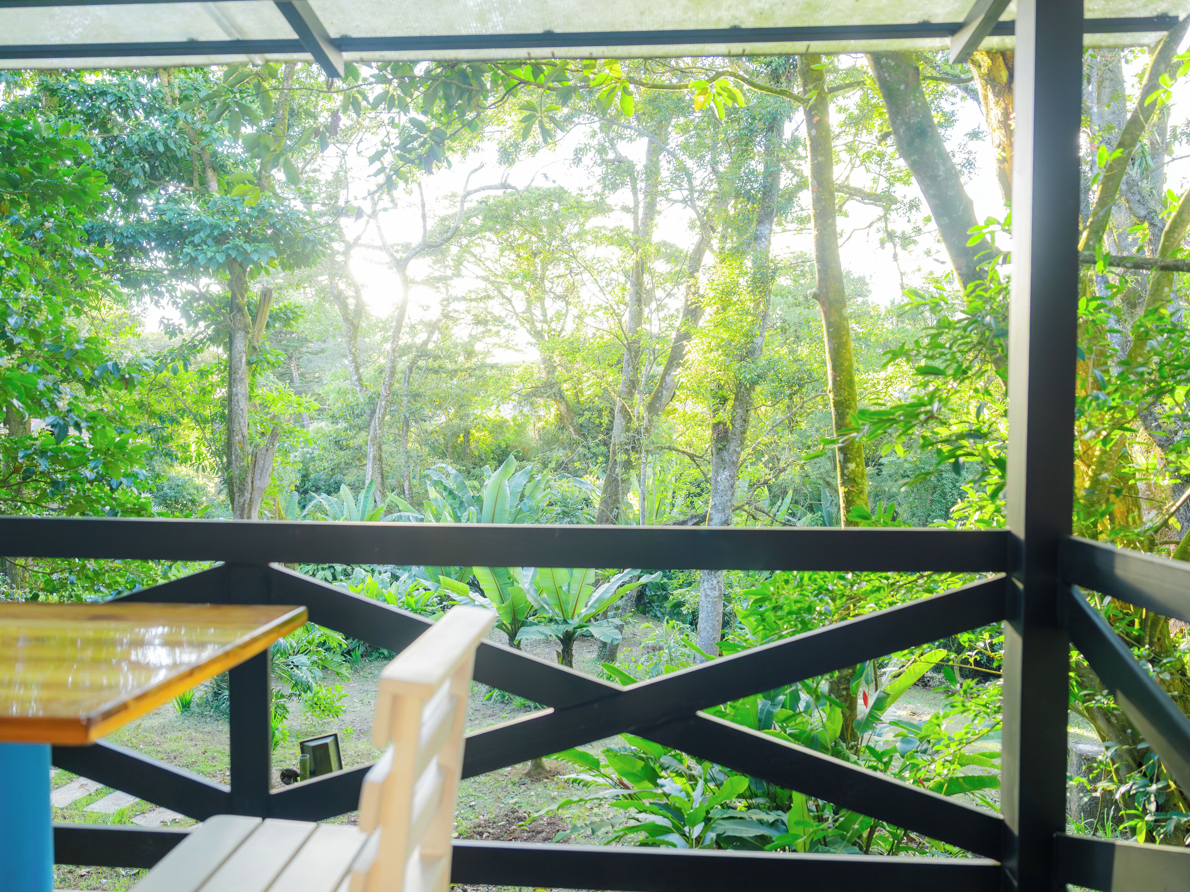 Villa, balcon, vue sur le jardin | Terrain de l’hébergement 