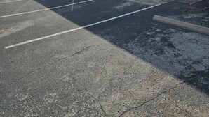 Een motel met meerdere kamers, een overdekte parkeerplaats en een grote boom op de achtergrond.