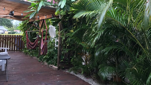 Eine Terrasse mit Backsteinpflaster, einer Holzpergola und verschiedenen tropischen Pflanzen.