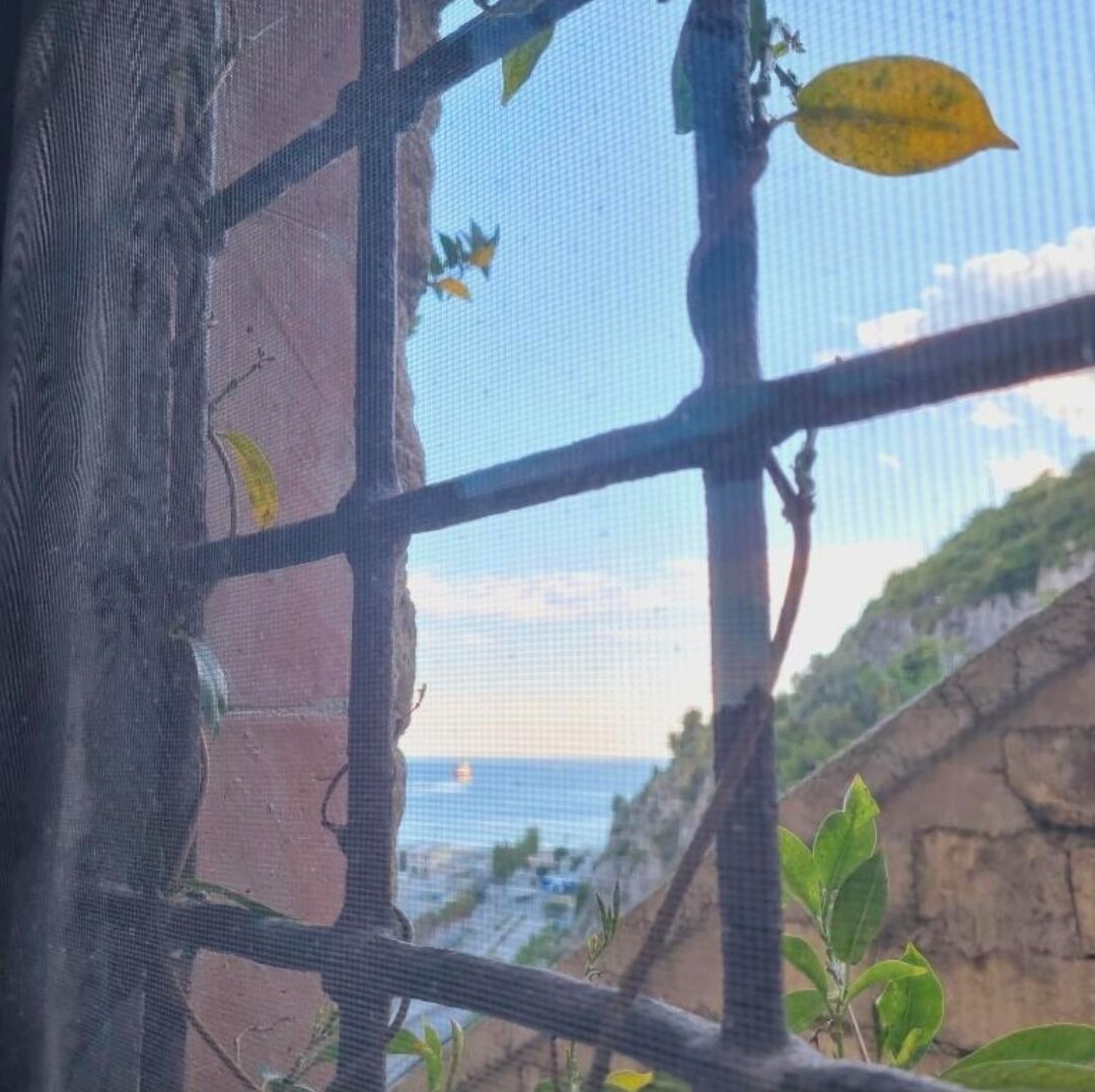 Vista a través de una ventana con mosquitera, mostrando un paisaje rocoso y una masa de agua distante.