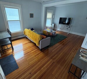 Living area - Beautiful Park ave area 2BR apt near downtown rochester w/ parking w/d balconies (Rochester)