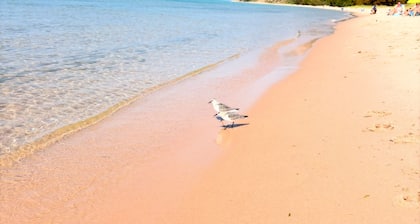 3 bedroom lakeside charmer at Big Platte Lake and near sleeping bear dunes