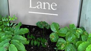 En skylt med texten ”WESTWOOD Ivy Glen Lane” mot en ljus bakgrund.