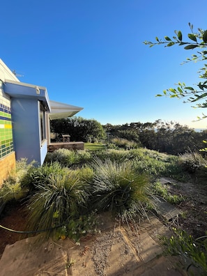 Property grounds - A superbly located House with sublime views over the National Park + ocean (Bundeena)