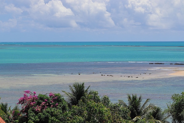Standard Apartment, Sea View