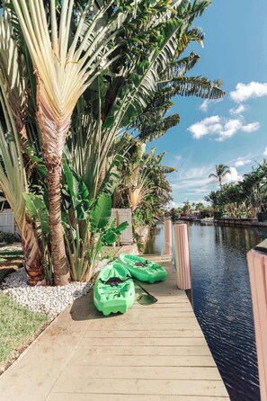 Un muelle de madera que se adentra en una masa de agua, rodeado de exuberante vegetación tropical.