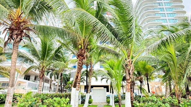 A pathway leading to a building with a modern design, surrounded by palm trees and greenery. - Caribbean Retreat, apartment 304 (Cartagena)