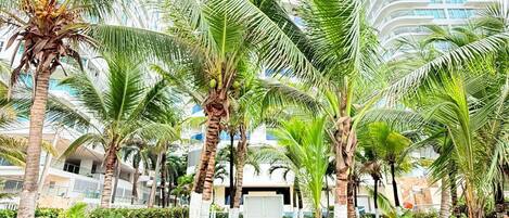 On the beach, beach umbrellas, beach towels